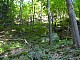 DSCN0005.JPG DSCN0005.JPG