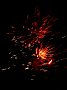 DSCN0050.jpg DSCN0050.jpg