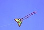 DSCN0023.JPG DSCN0023.JPG