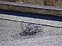 DSCN0043.JPG DSCN0043.JPG