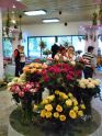 DSC00134