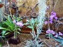 DSC00169
